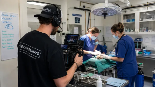 Camera Guys operator filming at South Essex Wildlife Hospital