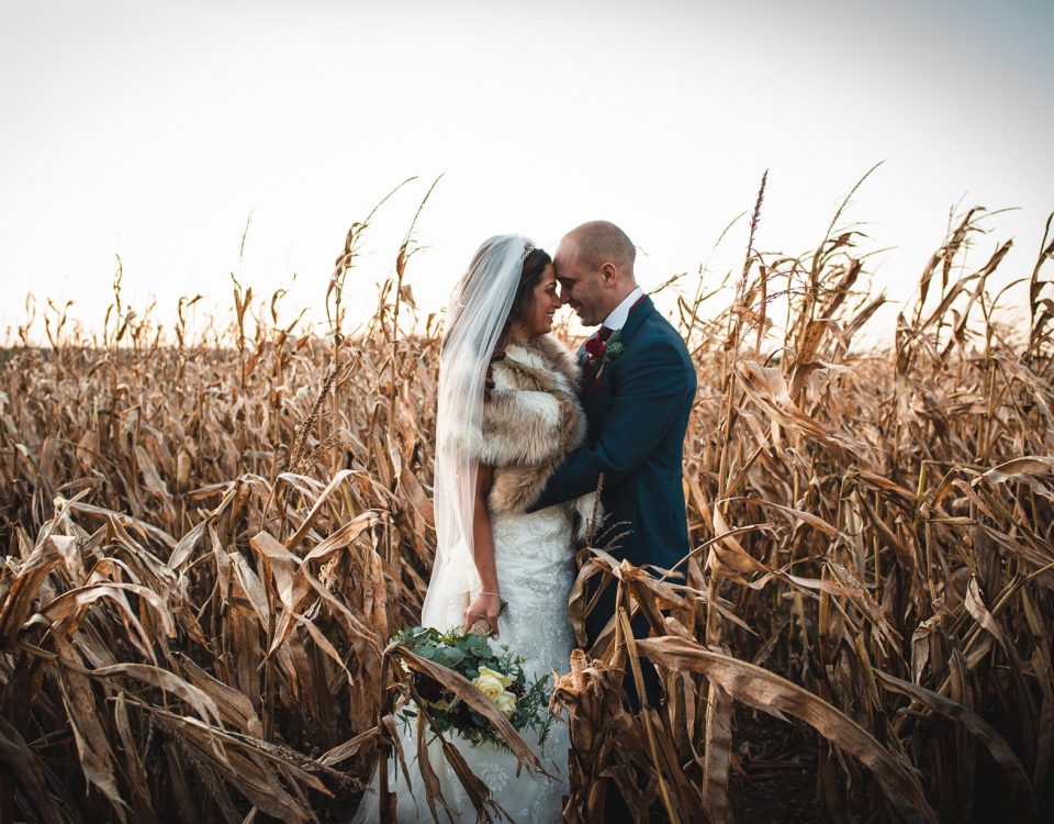 Couple portrait in a field at sunset - Essex Wedding Photography by The Camera Guys