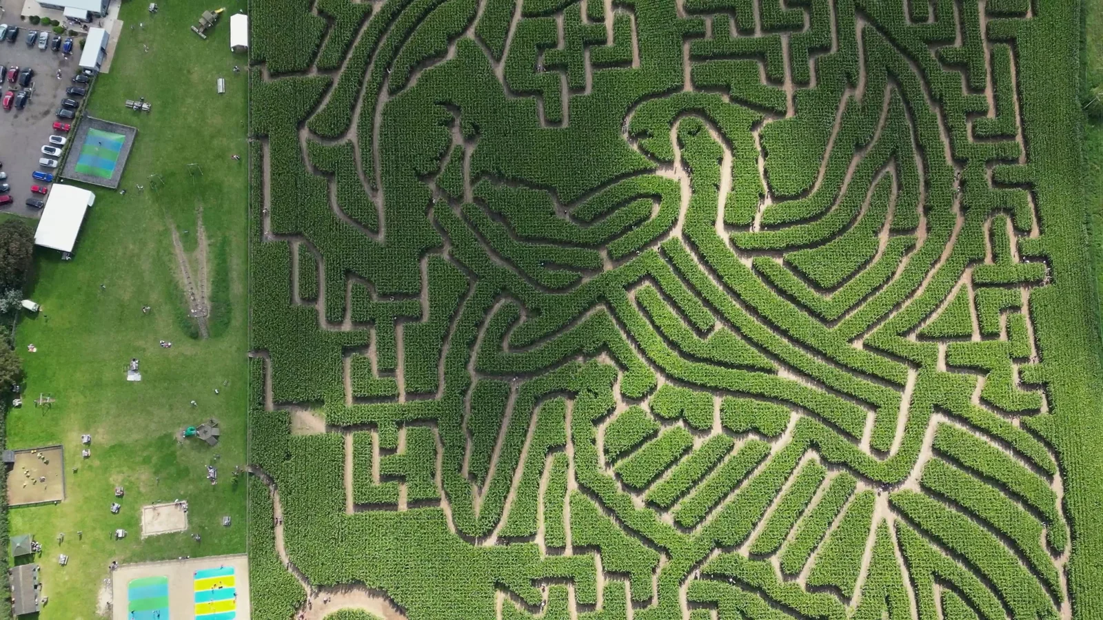 Southwold Maize Maze shown from the air