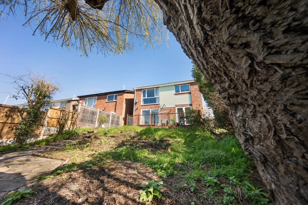 Mature tree and rear elevation — 13 Furness Close
