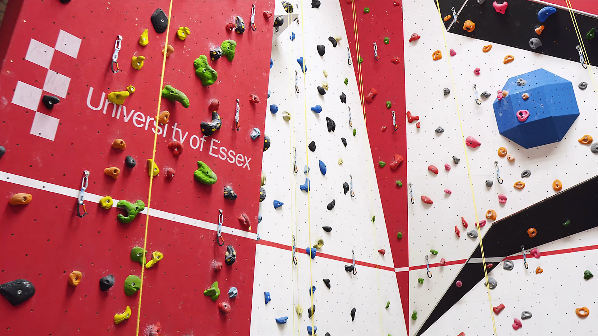 Colourful climbing holds on the University of Essex indoor wall