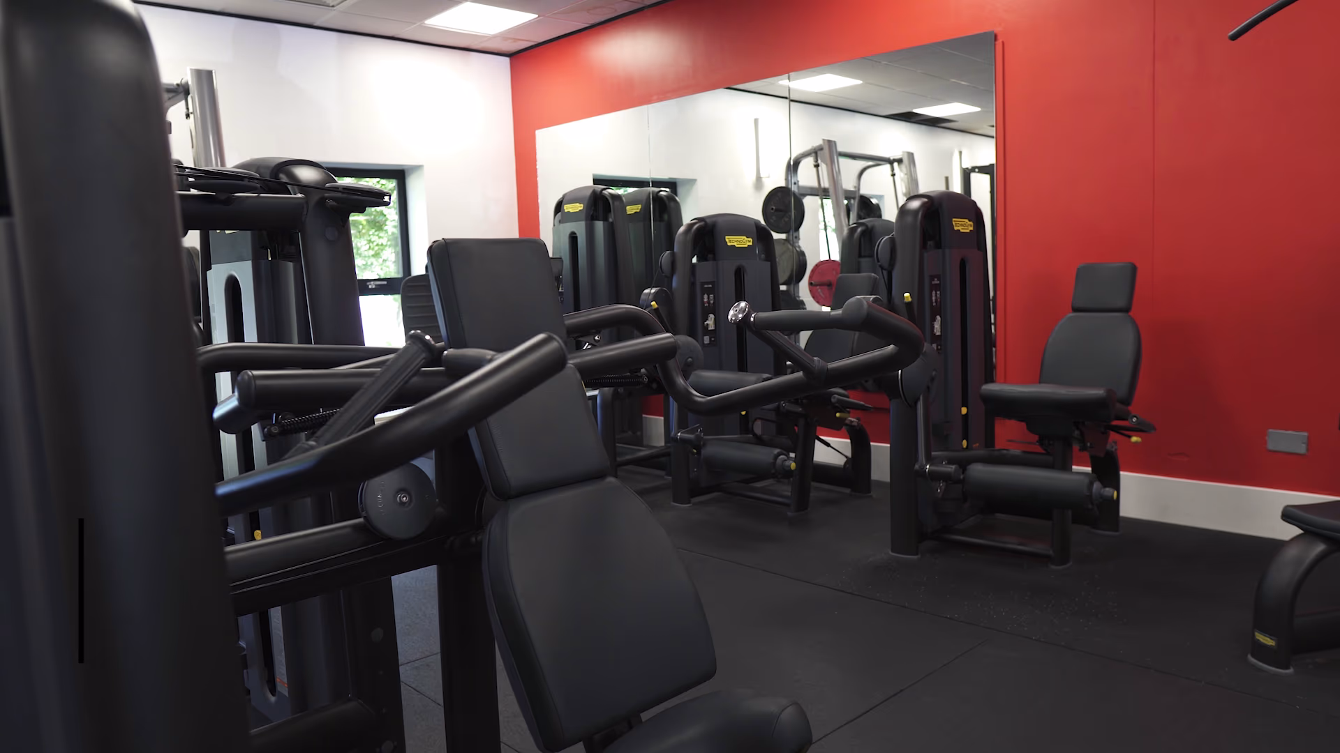 Strength training equipment inside the Essex Sport gym