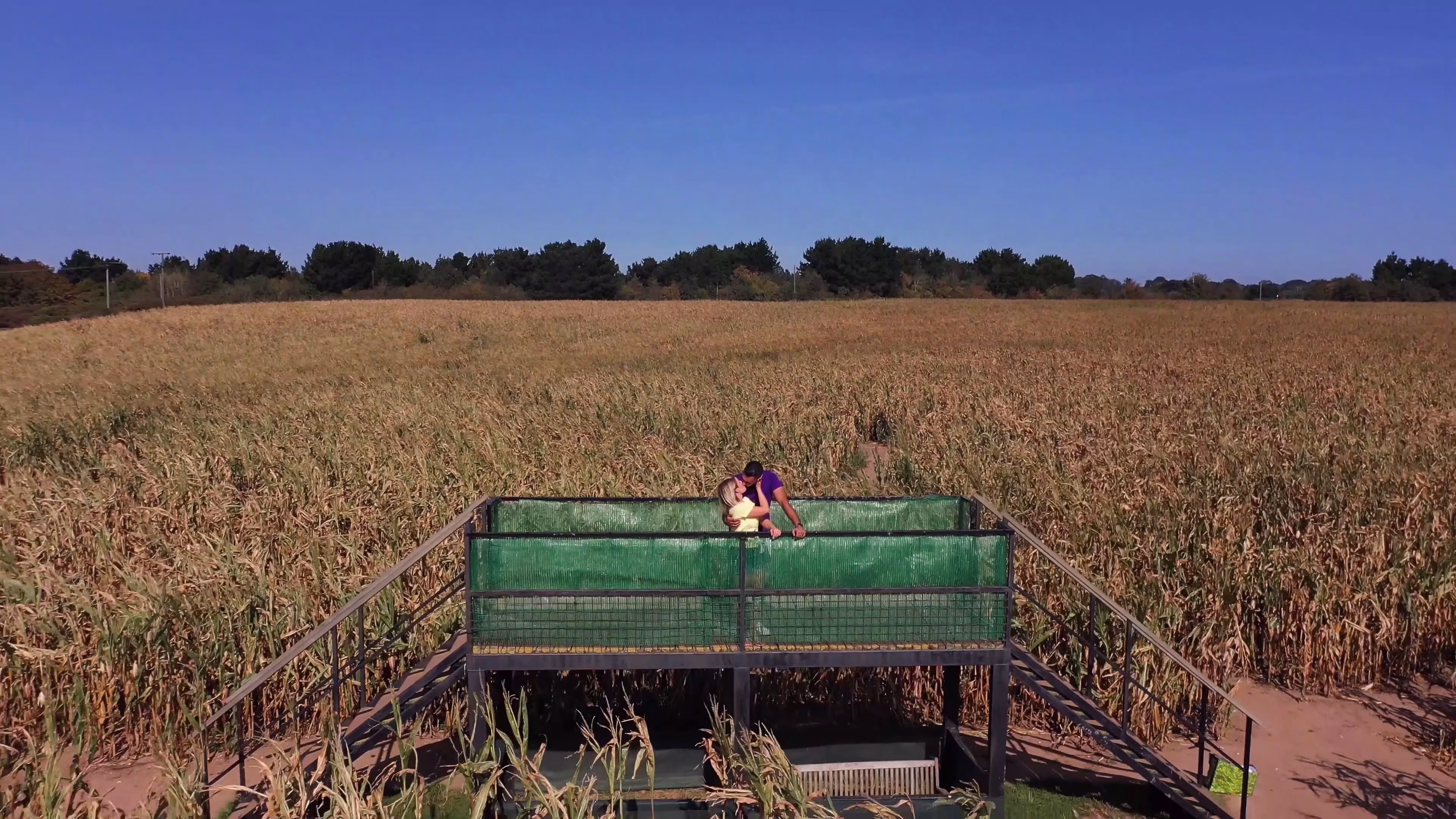 Wide view of the go-karts travelling through the field