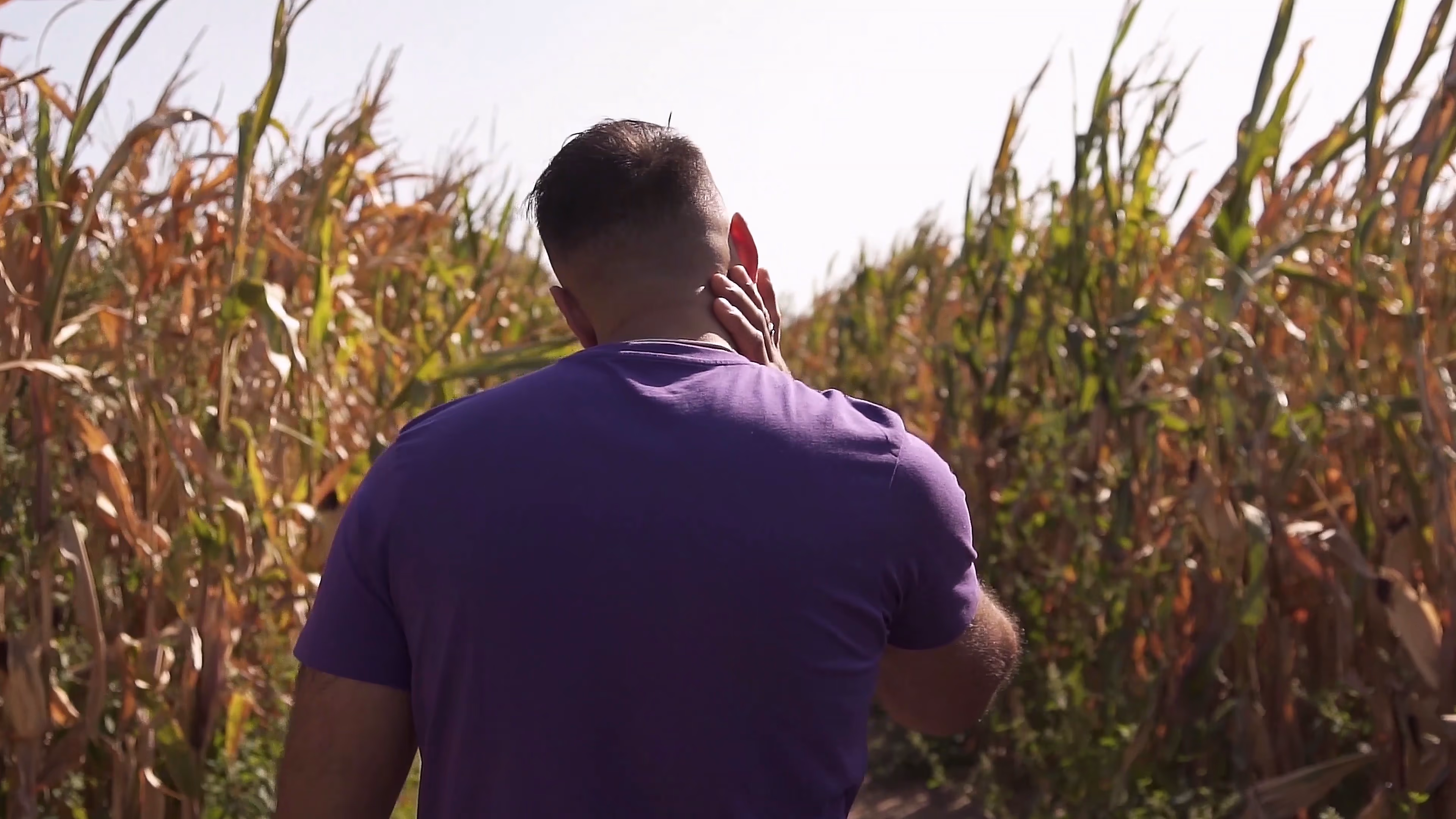 Jake moving through the tall maize maze