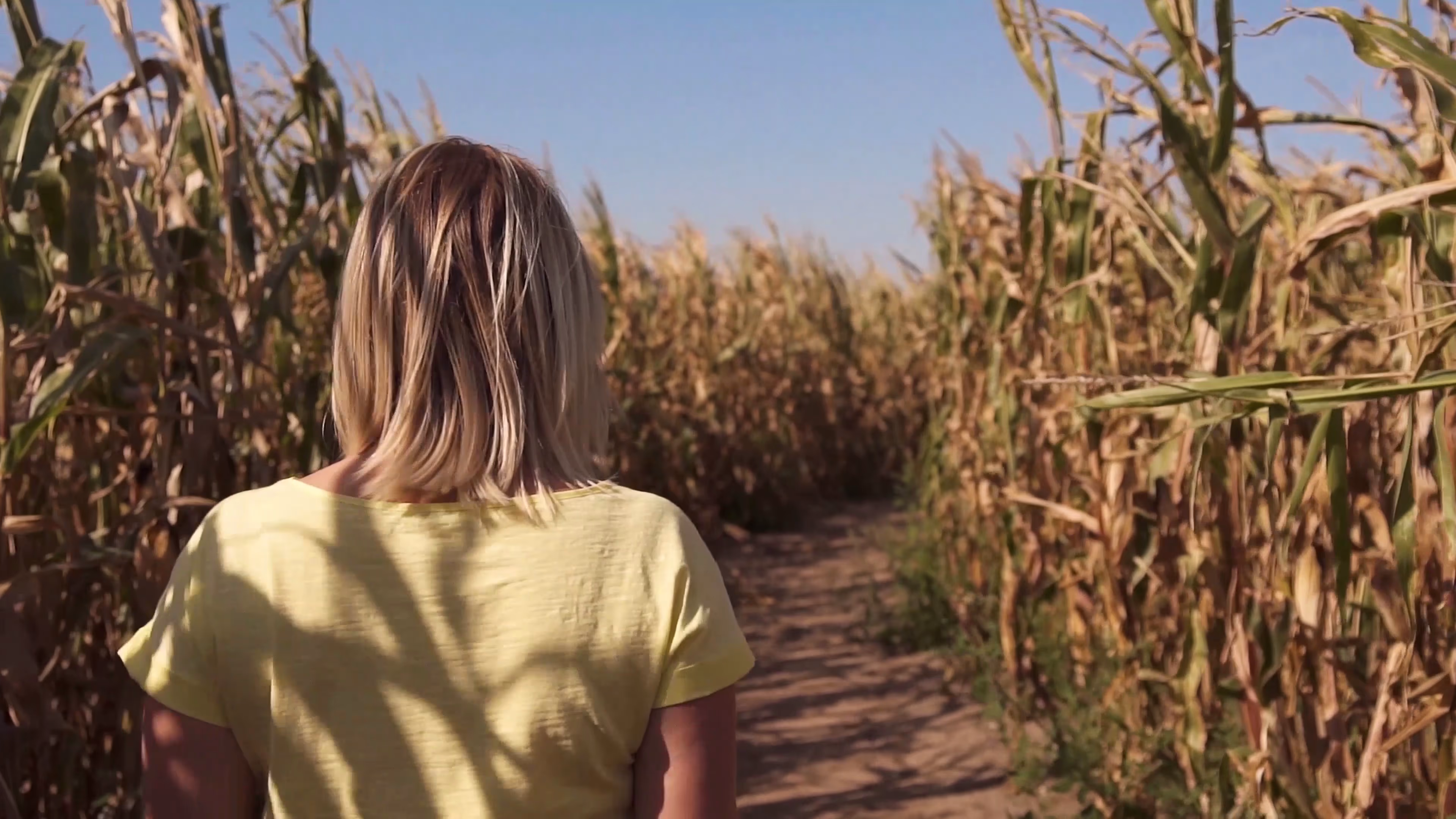Lisa finding her way through the Southwold Maize Maze