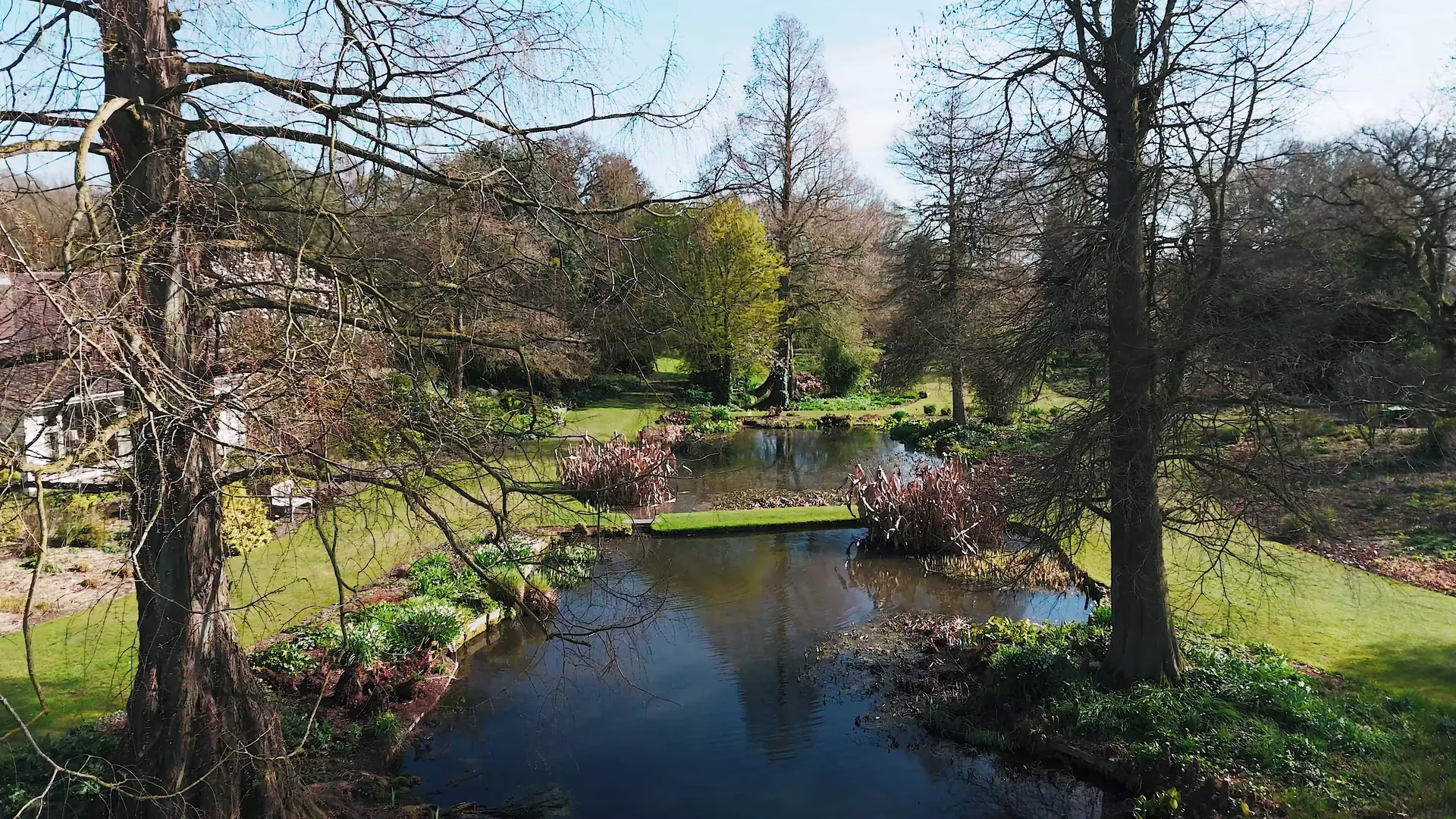 Water garden at Beth Chatto Gardens near Colchester