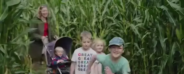 Southwold Maize Maze attraction