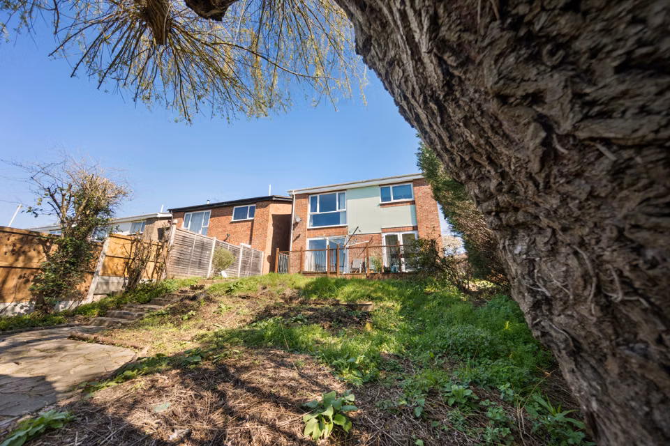 Rear garden and house framed by a tree trunk — 13 Furness Close