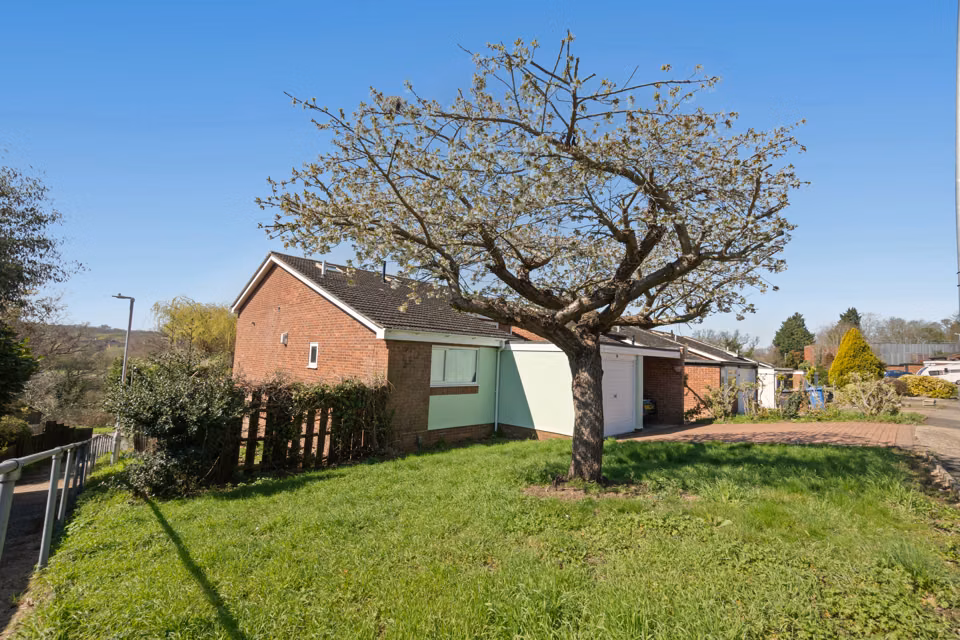 Front lawn and tree beside the garage — 13 Furness Close