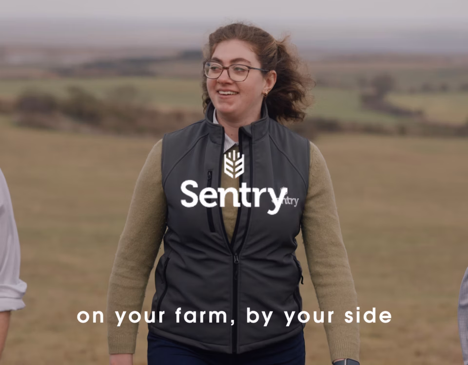 Drone view across Norfolk farmland filmed for Sentry