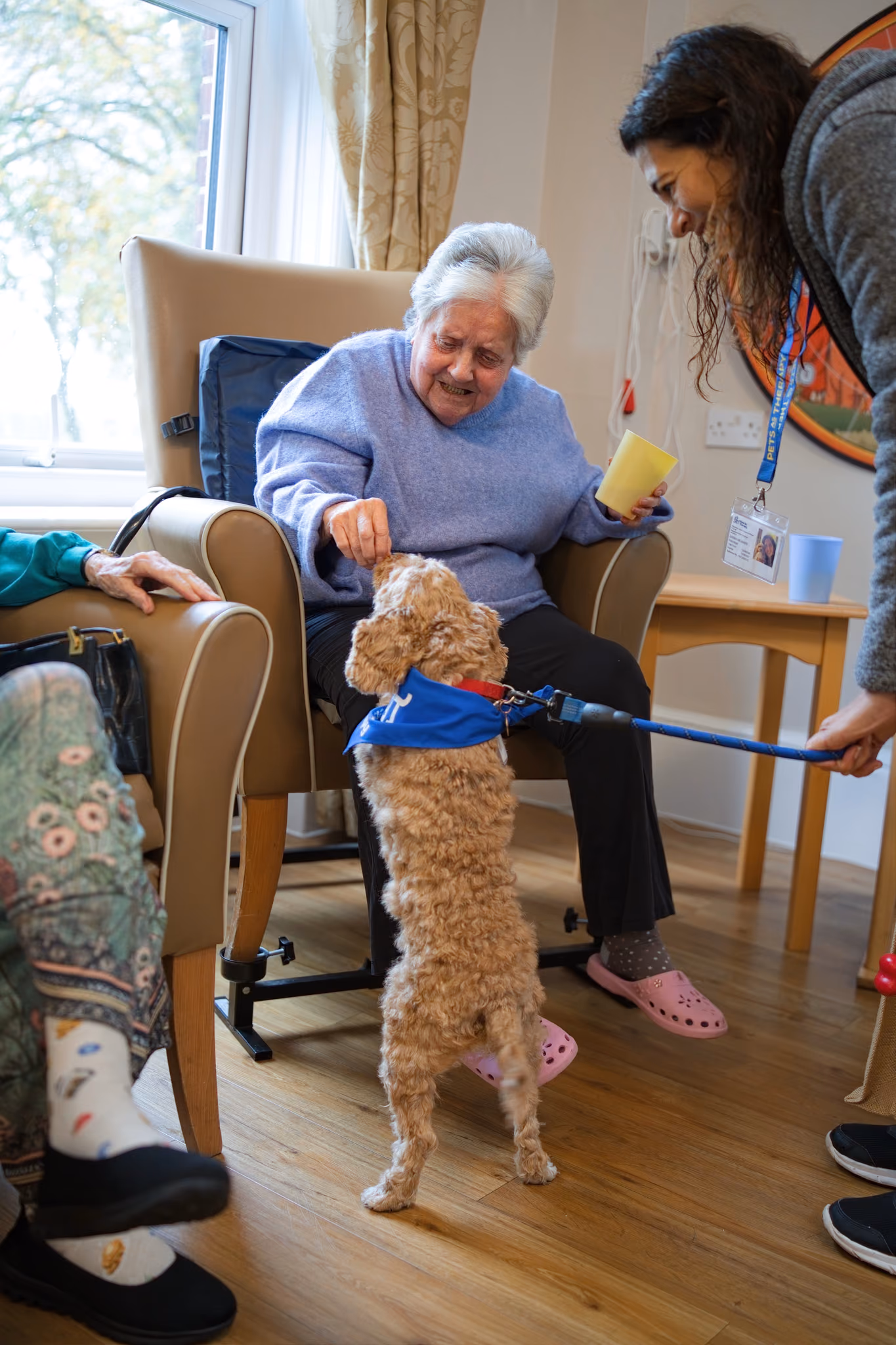 A resident greeting the visiting dog in the living room