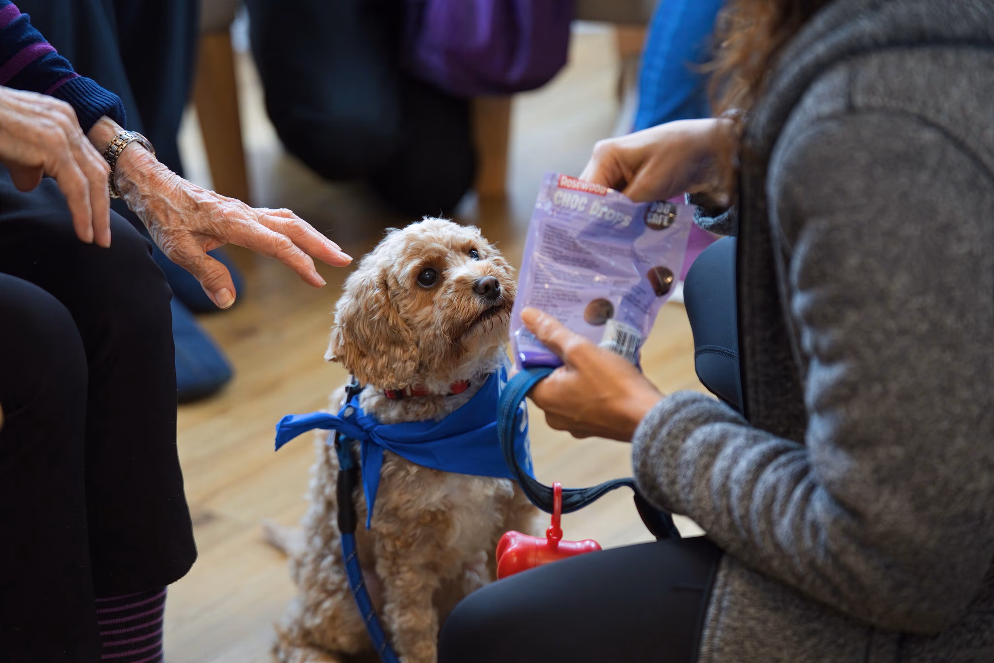 Residents and staff reaching out to greet the visiting dog
