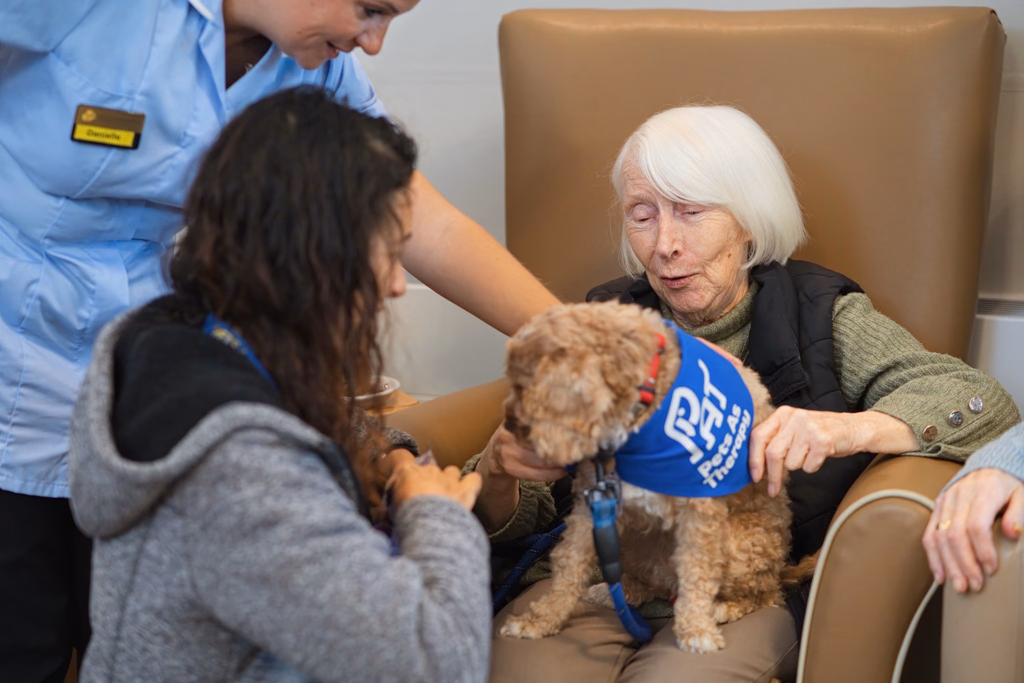 A resident stroking the visiting dog with staff nearby