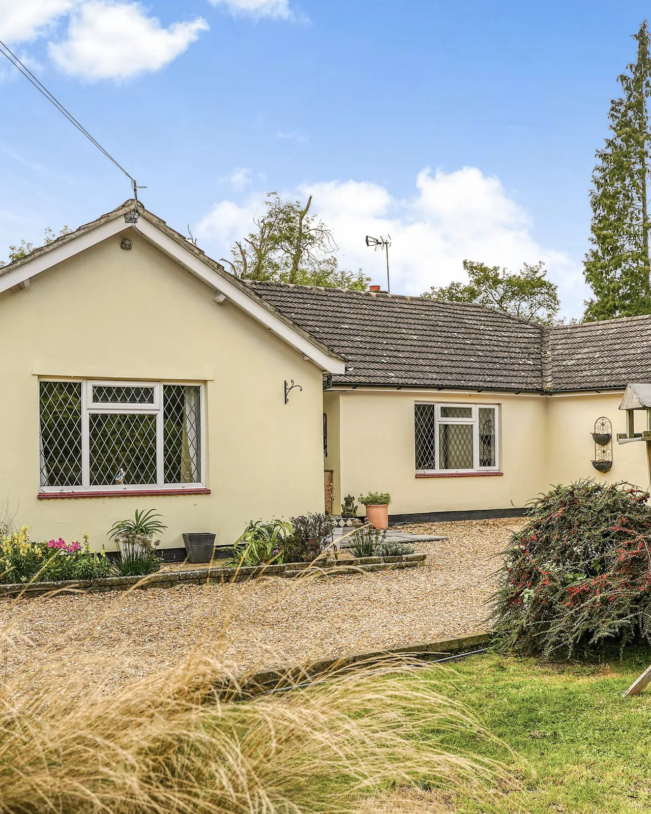 Detached bungalow and front garden