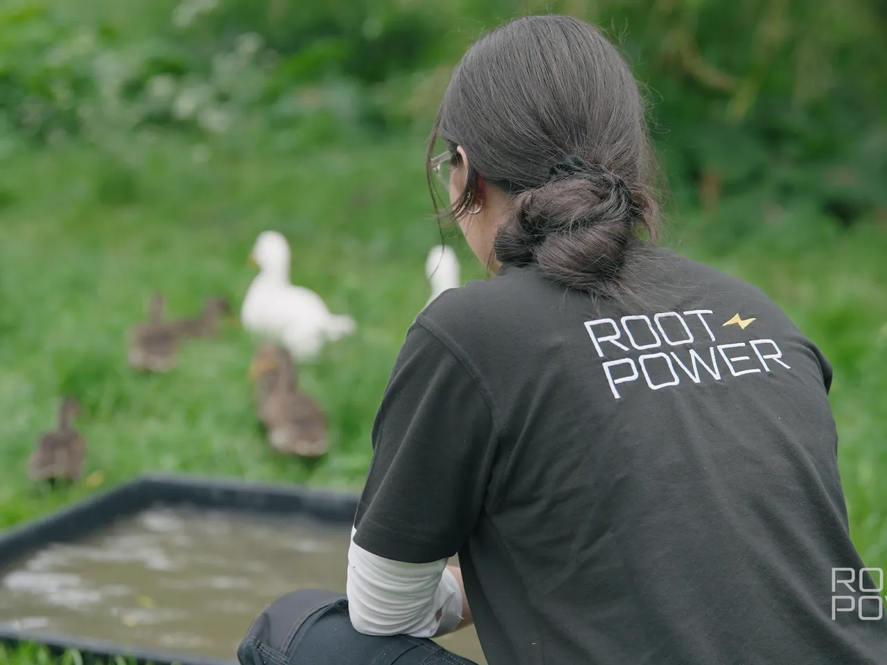 Volunteer tending ducks outdoors