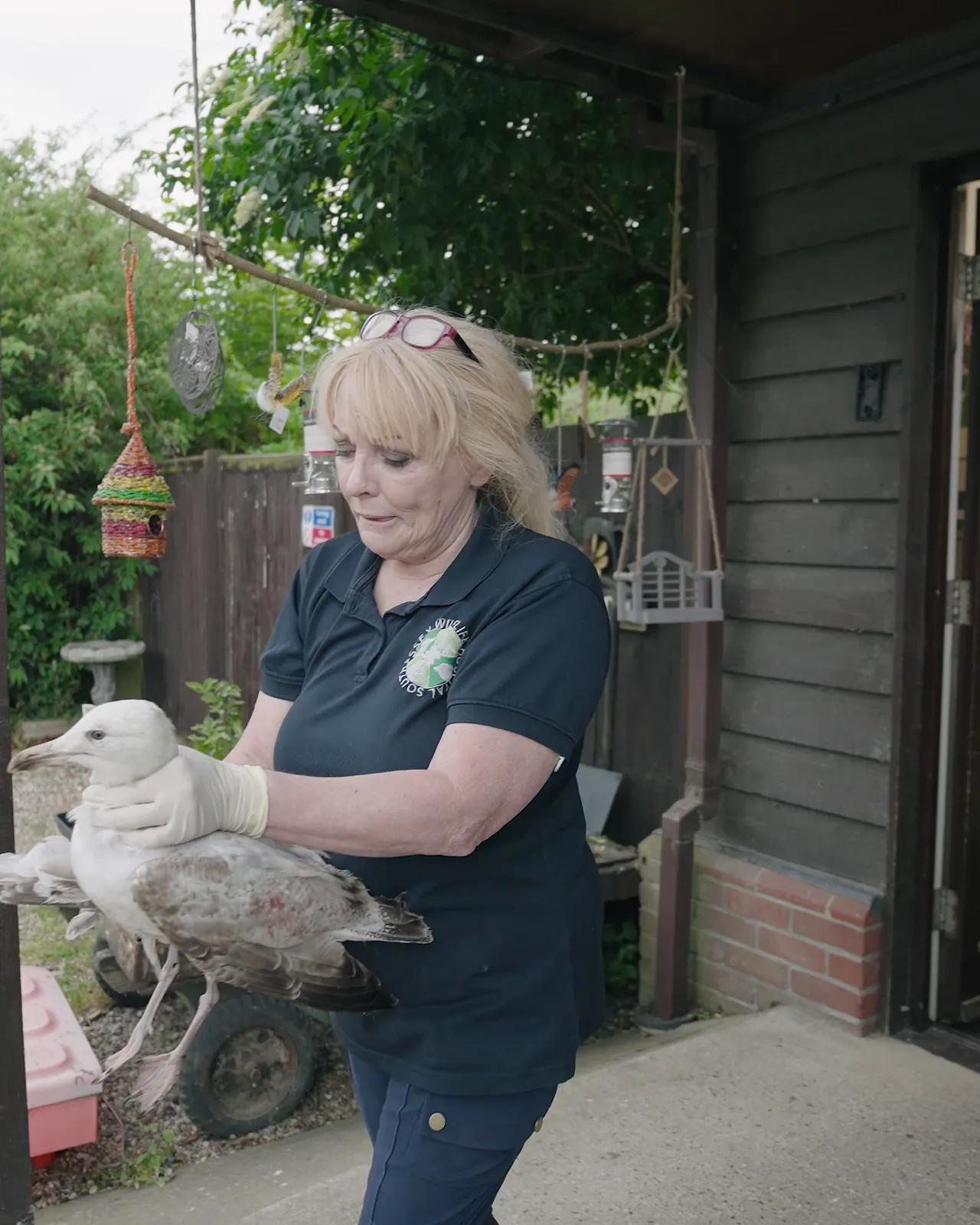 Volunteer carrying a rescued bird