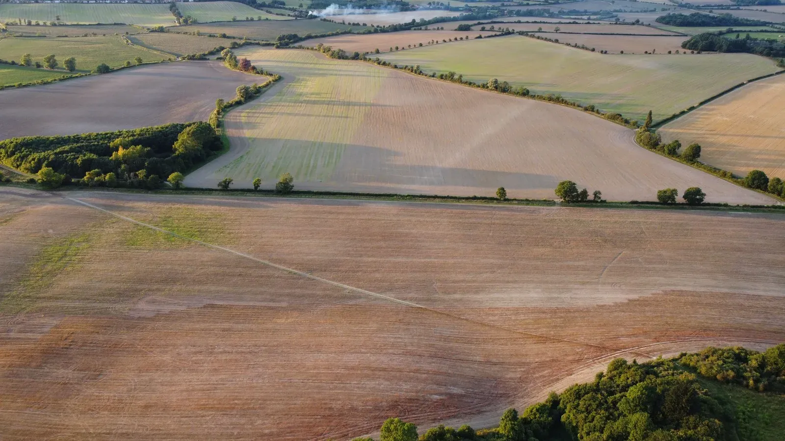Aerial view of fields at sunset