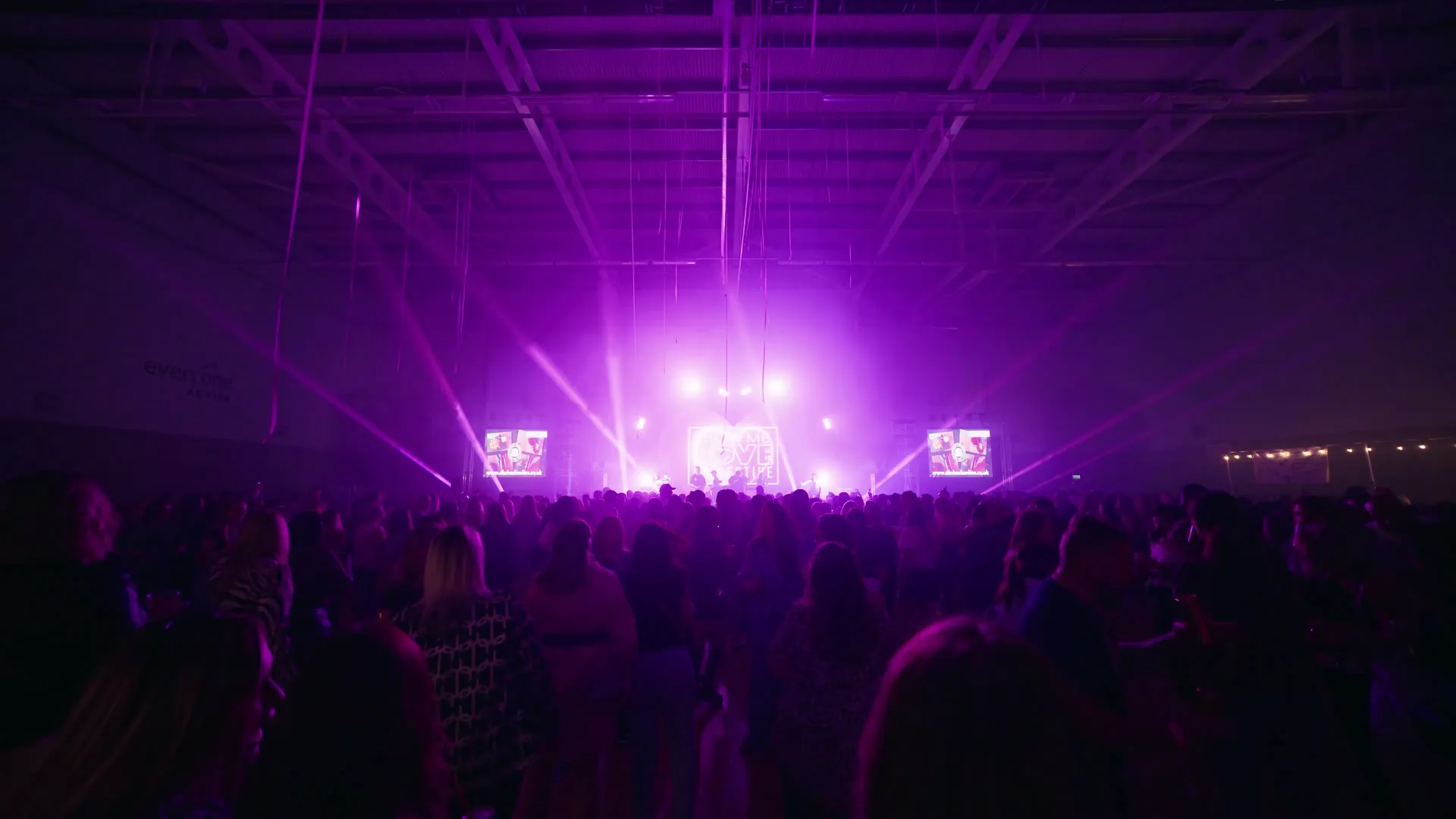 Crowd at a live show