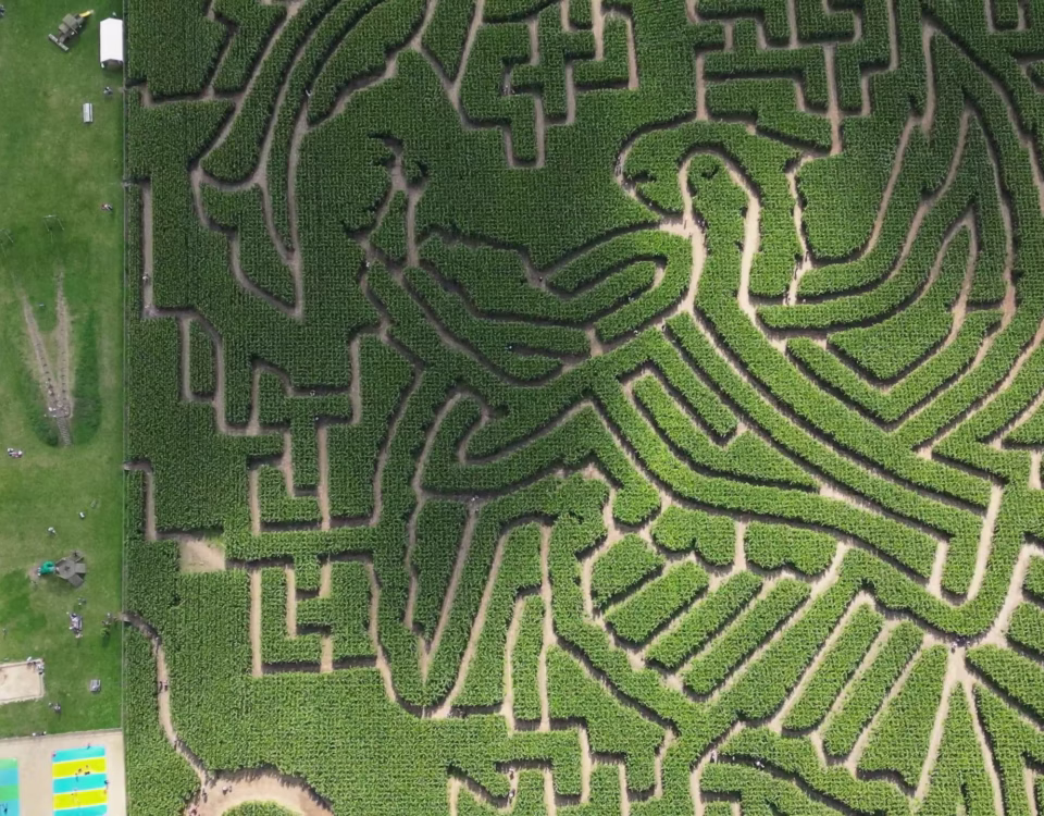 Drone view showing the full Southwold Maize Maze design in Suffolk