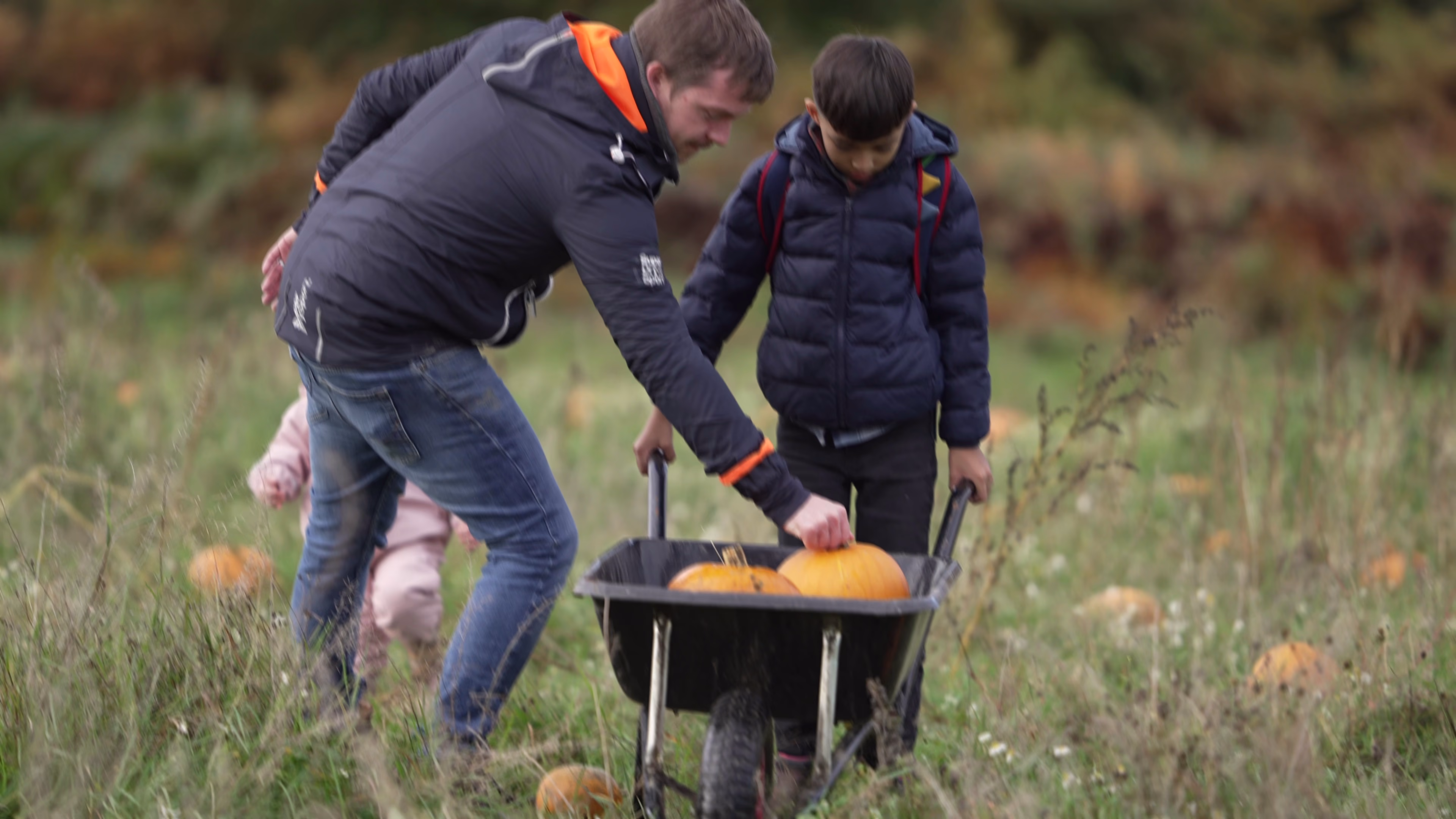 Family choosing a pumpkin and loading it into a wheelbarrow at Wasing Estate