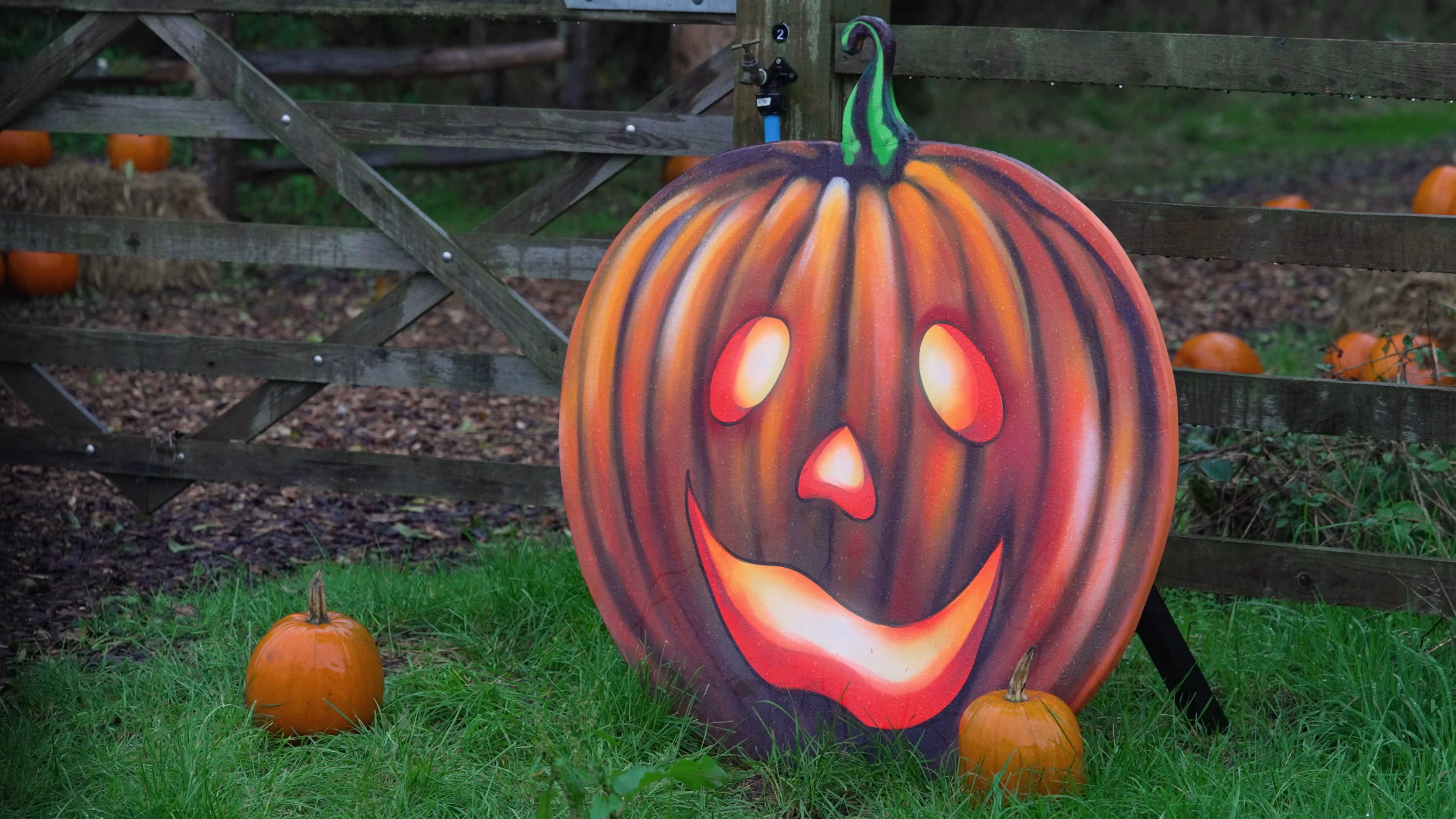 Painted pumpkin character on Wasing Estate woodland trail