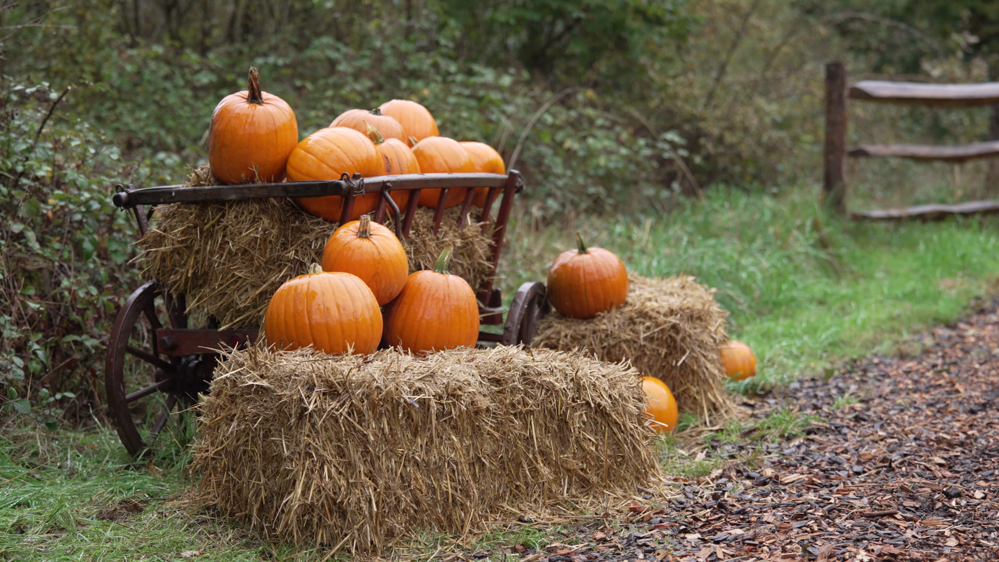 Pumpkins displayed on hay bales and a wheelbarrow at Wasing Estate