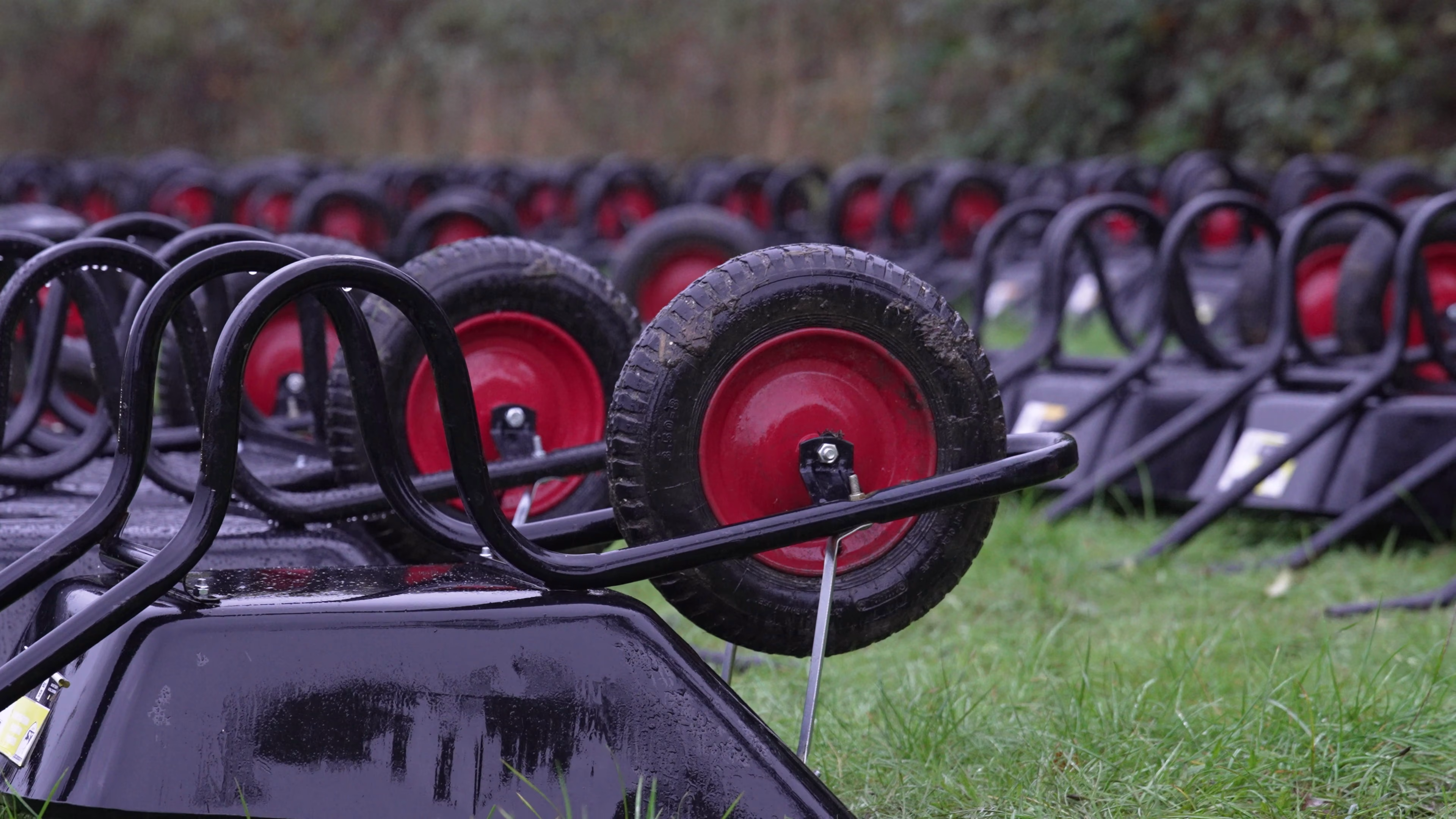 Close view of visitor wheelbarrows at Wasing Pumpkin Patch