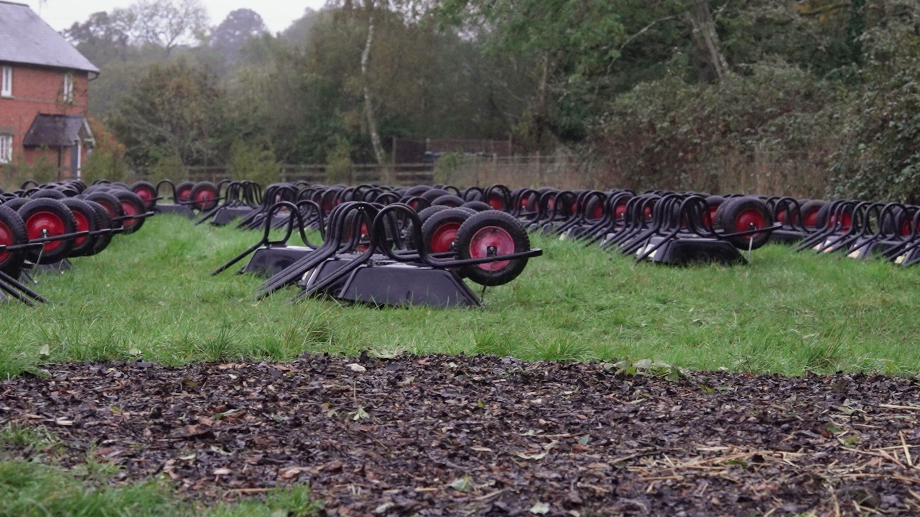 Rows of wheelbarrows ready for visitors at Wasing Pumpkin Patch