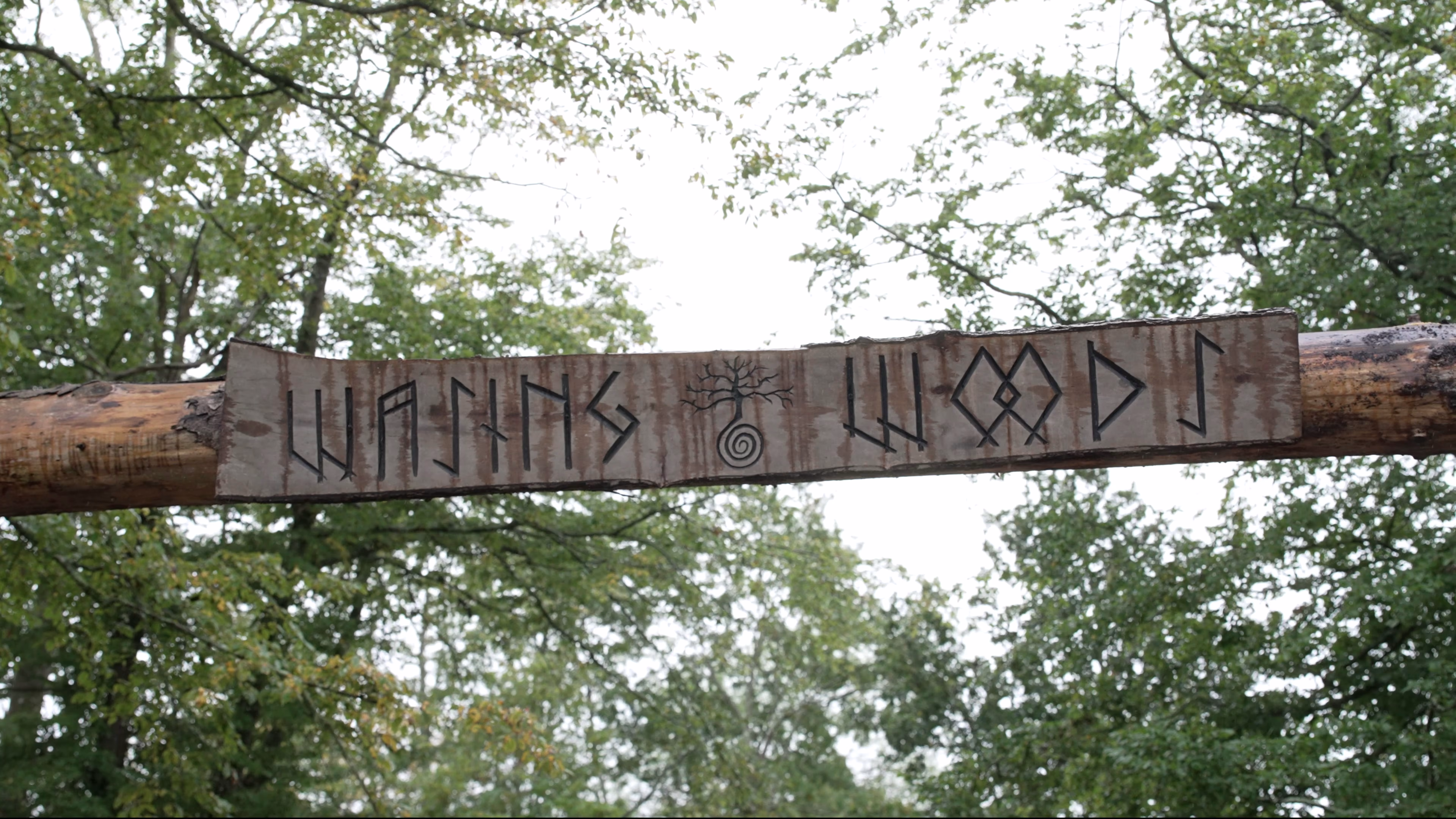 Wasing Woods carved sign above the woodland trail